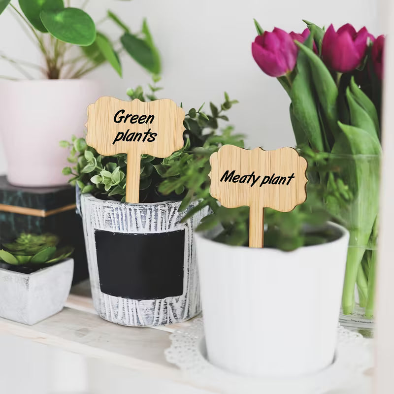 Tvarkingi žymekliai daržui ir vazonams – 20 plastikinių augalų etikečių